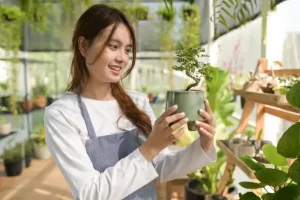Como Cuidar de Bonsai de Forma Simples e Eficaz